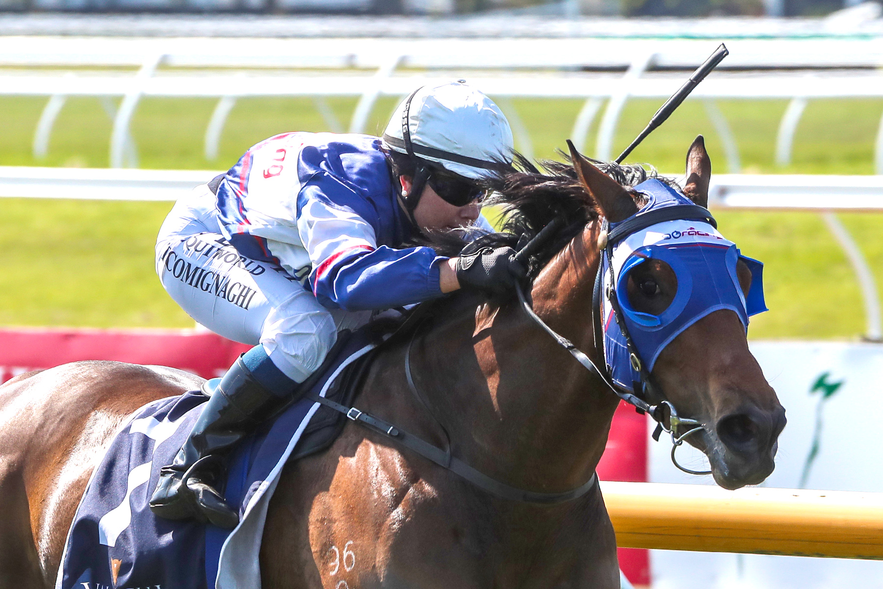 Diss Is Dramatic winning a race